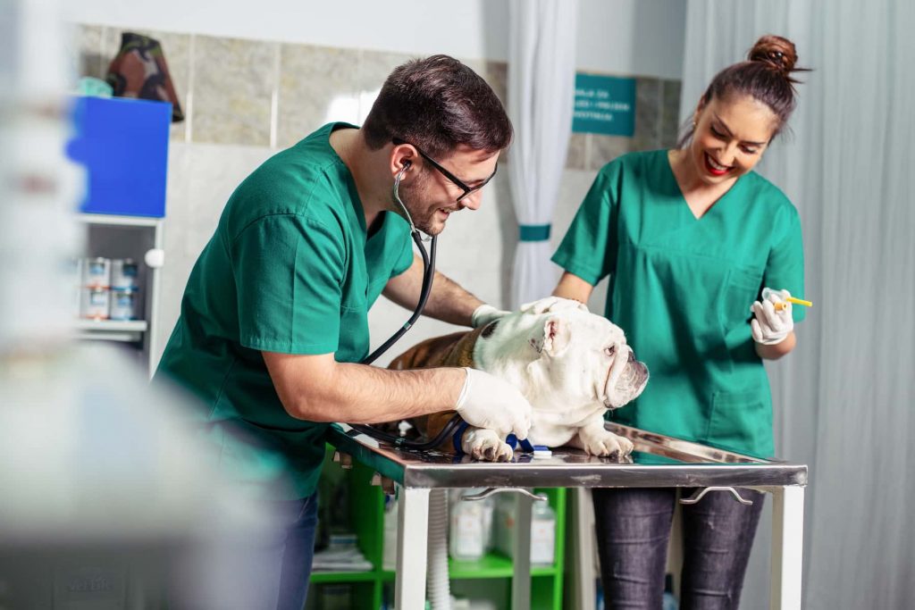 Veterinary Assistant