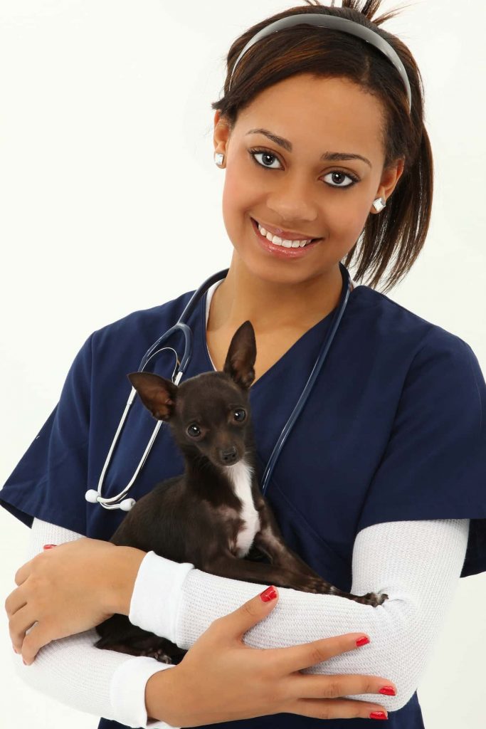 veterinary-assistant-programs